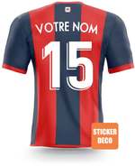 Decoración de pegatinas de fútbol - Rfc liege jersey - Vignette | stickers foot