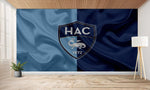 papier peint foot HAC effet drapeau - Vignette | stickers foot