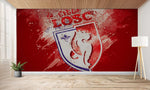 papier peint football Lille LOSC decoration chambre - Vignette | stickers foot
