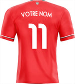 Decoración pegatina camiseta Egipto 2023 - Vignette | Sticker Foot