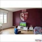 papier peint foot FC Metz France football - Vignette | stickers foot