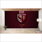 papier peint foot FC Metz France football - Vignette | stickers foot