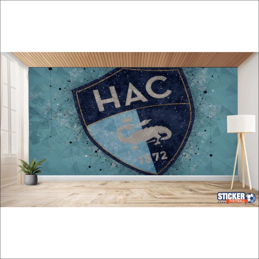 Murale avec un motif de bouclier.