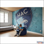 papier peint foot Le Havre HAC - Vignette | stickers foot