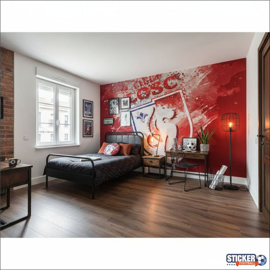 Visualisation papier peint football Lille LOSC decoration chambre