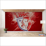 papier peint football Lille LOSC decoration chambre - Vignette | stickers foot