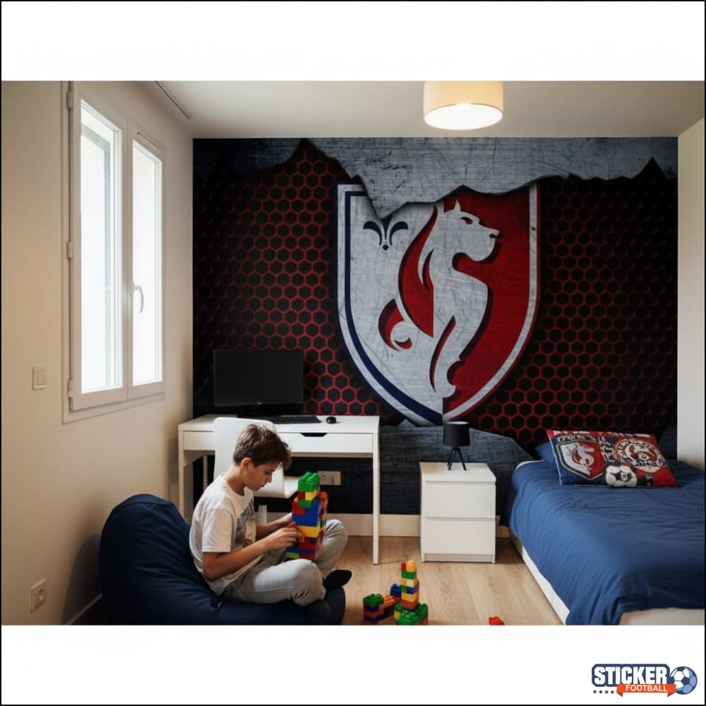 Visualisation papier peint football Lille LOSC supporter