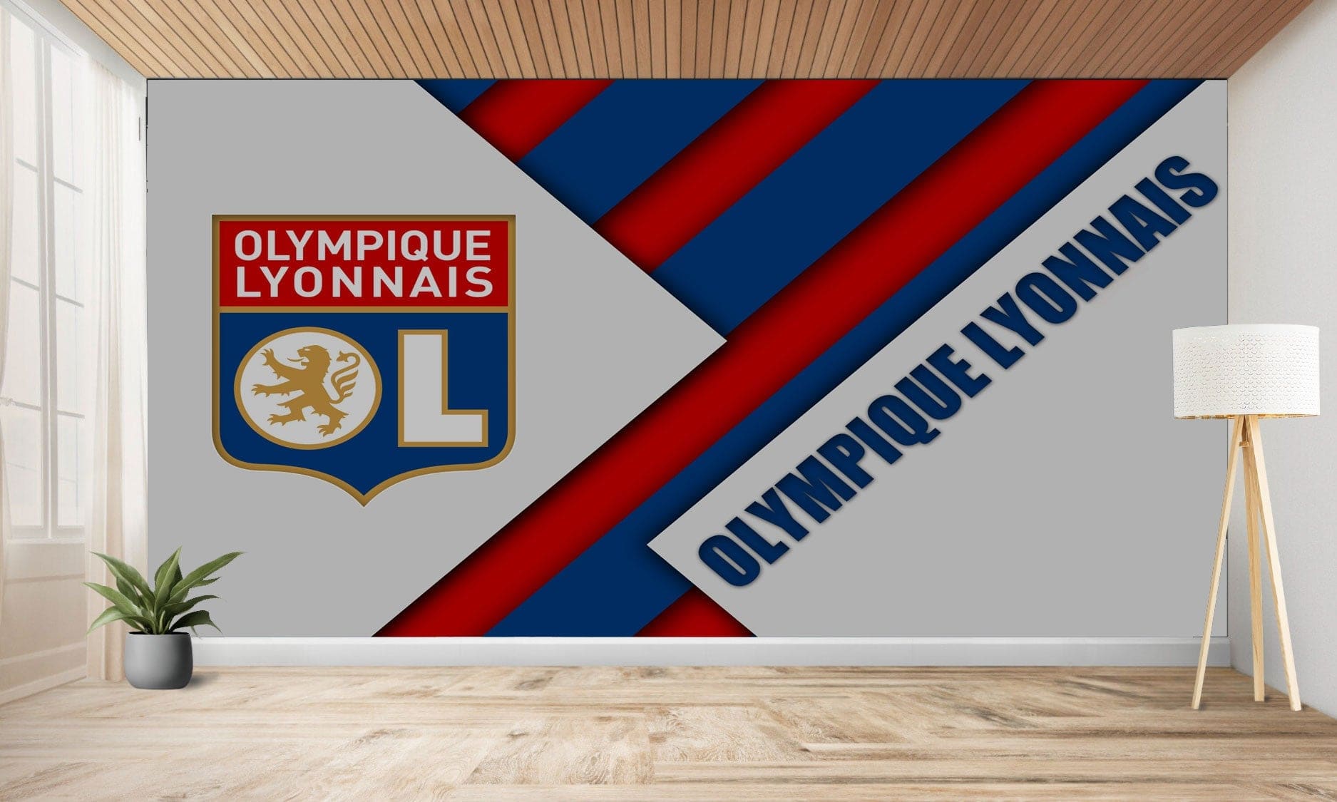 Peinture murale de l’Olympique Lyonnais.