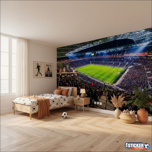 Visualisation papier peint football Stade Lyonnais 3
