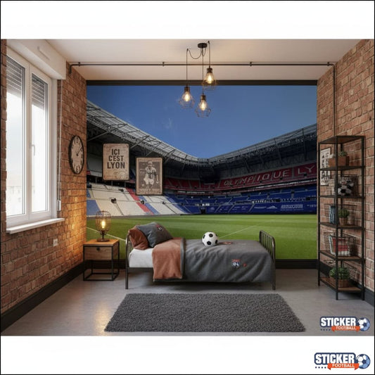 Visualisation papier peint football Stade Lyonnais