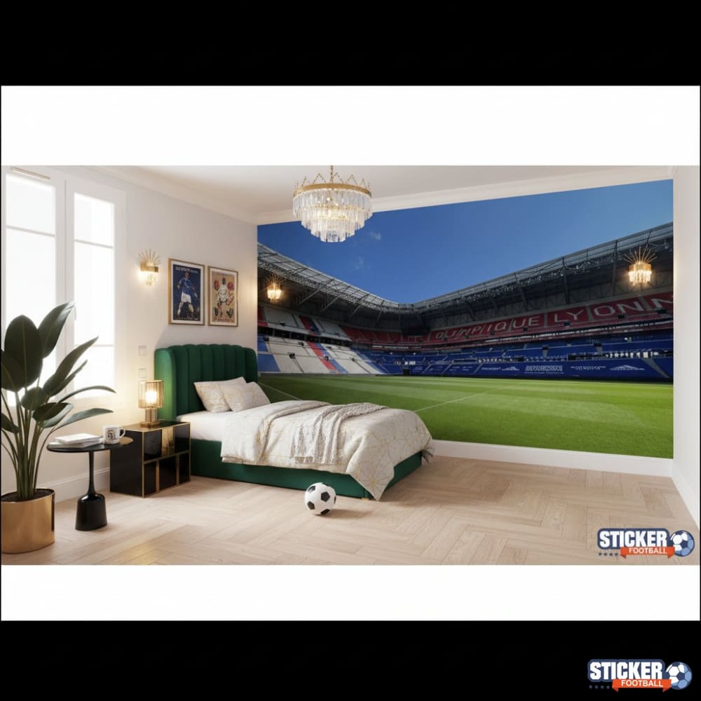 Visualisation papier peint football Stade Lyonnais