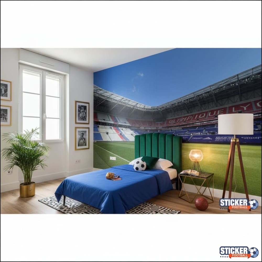 Visualisation papier peint football Stade Lyonnais
