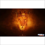 Papier Peint Galatasaray - Emblème Lion Football - Vignette | stickers foot