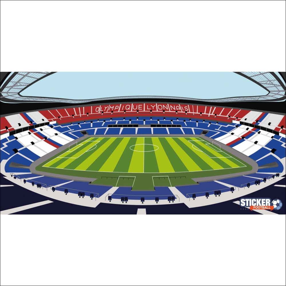 Stade de football rayé rouge et bleu avec pelouse verte, lignes blanches, et texte ’olympique lyonnais’.