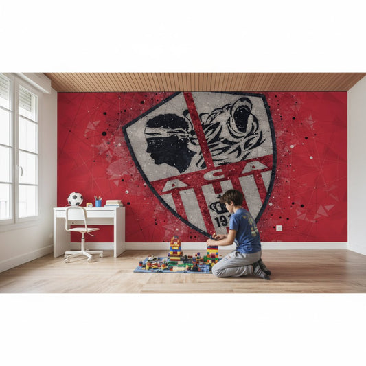 Visualisation papier peint foot AC Ajaccio deco