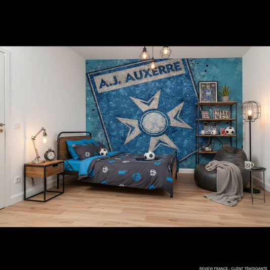 Visualisation papier peint foot AJ Auxerre logo
