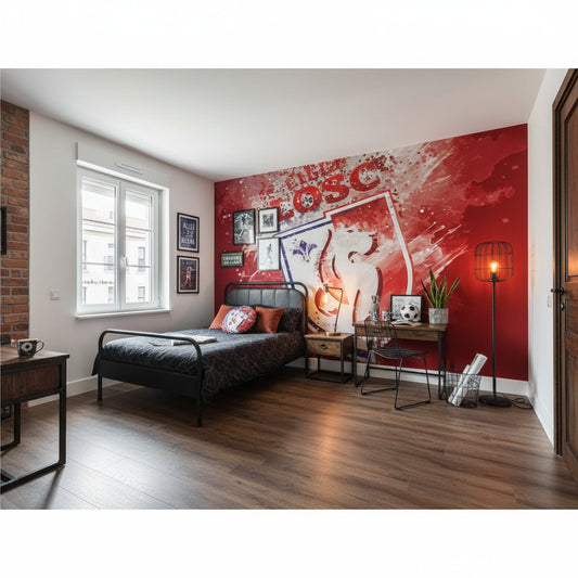 Visualisation papier peint football Lille LOSC decoration chambre