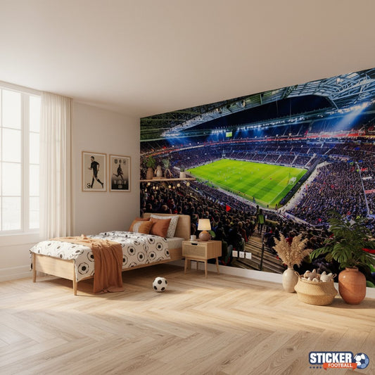 Visualisation papier peint football Stade Lyonnais 3