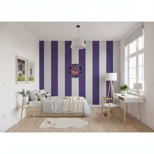 Visualisation papier peint football Toulouse