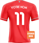 Decoración pegatina camiseta Egipto 2023 - Vignette | stickers foot