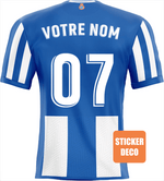 Decoración adhesiva de la camiseta de la Real Sociedad - Vignette | stickers foot