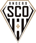 Etiqueta engomada del logotipo de Angers SCO - Vignette | stickers foot