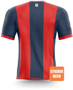 Decoración de pegatinas de fútbol - Rfc liege jersey - Vignette | stickers foot