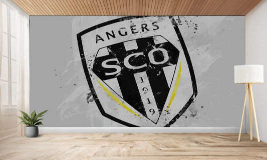 papier peint foot Angers SCO  deco