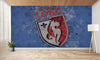 papier peint foot Lille logo football decoration