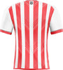 Calcomanía de la camiseta del Stoke City